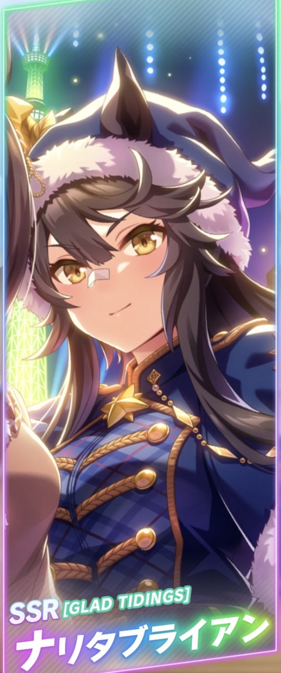 ディープインパクト ナリタブライアン 競馬 オーナーズホース SSRカード